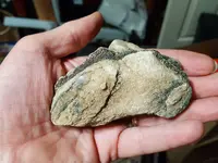 20180717_094124.webp