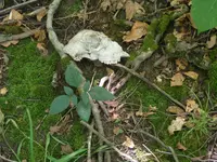 DSCF5007.webp
