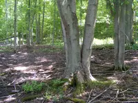 DSCF5014.webp