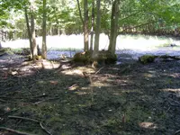 DSCF5040.webp