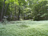 DSCF4969.webp