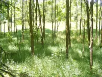 DSCF4988.webp