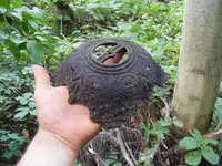 DSCF5032.webp
