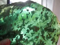 DSCN7915.webp