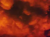 DSCN2059.webp