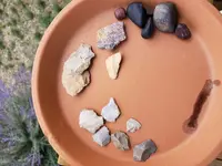 20180717_152951.webp