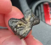 ImageUploadedByTreasureNet.com1534220592.693377.webp