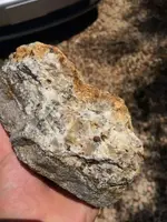 ImageUploadedByTreasureNet.com1531875160.674323.webp