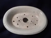 soap.webp