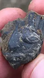 ImageUploadedByTreasureNet.com1529446991.688561.webp