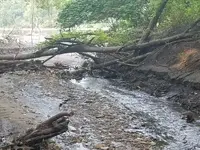 Creek Pic Use.webp