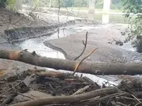 Creek Pic Use 2.webp