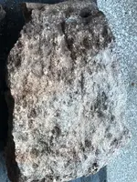ImageUploadedByTreasureNet.com1529453568.542998.webp