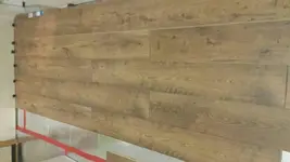 1529455705625.webp