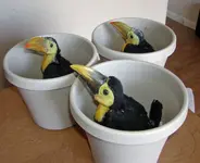 tumblr_pa6ki0cJK71rcreq5o5_1280.webp