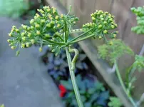 K1600_048.webp