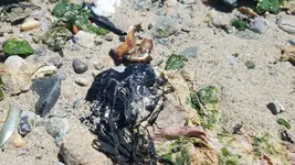 20180619_131117 2.webp