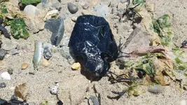 20180619_131301 2.webp 20180619_131301 2.webp