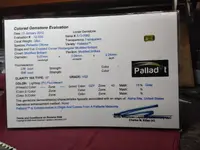 IMG_20180717_201801476.webp
