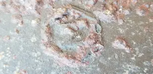 20180704_095623.webp