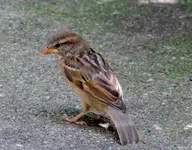 K1600_037.webp