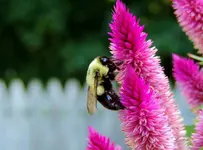 K1600_024.webp