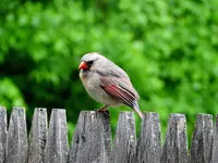 K1600_009.webp