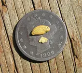 nikgold.webp nikgold.webp