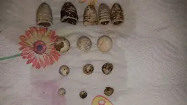 20180805_194739.webp
