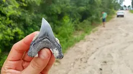 20180726_173155_edited.webp 20180726_173155_edited.webp