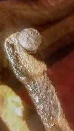 0620180026.webp 0620180026.webp