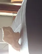 20180805_171911.webp