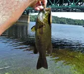 K1600_001.webp K1600_001.webp