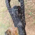 20180822_172957.webp