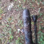 20180809_120807.webp