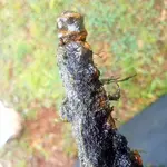 20180809_120750.webp