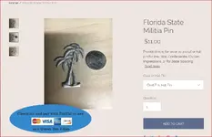 florida militia.webp