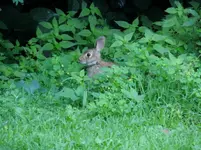 K1600_DSCN9730.webp