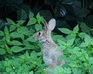 K1600_DSCN9734_InPixio.webp