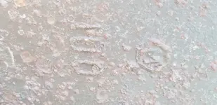 20180704_095454.webp