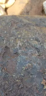 20180704_095545.webp