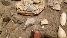 vlcsnap-2018-06-20-13h12m43s195.webp