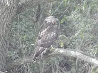 DSCN6698.webp