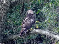DSCN6698.webp