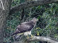 DSCN6702.webp