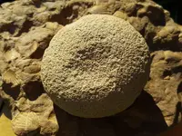 20180707_181716.webp