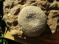 20180707_181705.webp