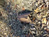 20180125_122458.webp