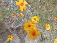 DSC00119.webp
