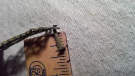 JewelryBoxHinge_Retained Nail2_w_RulerScaleJune2018.webp